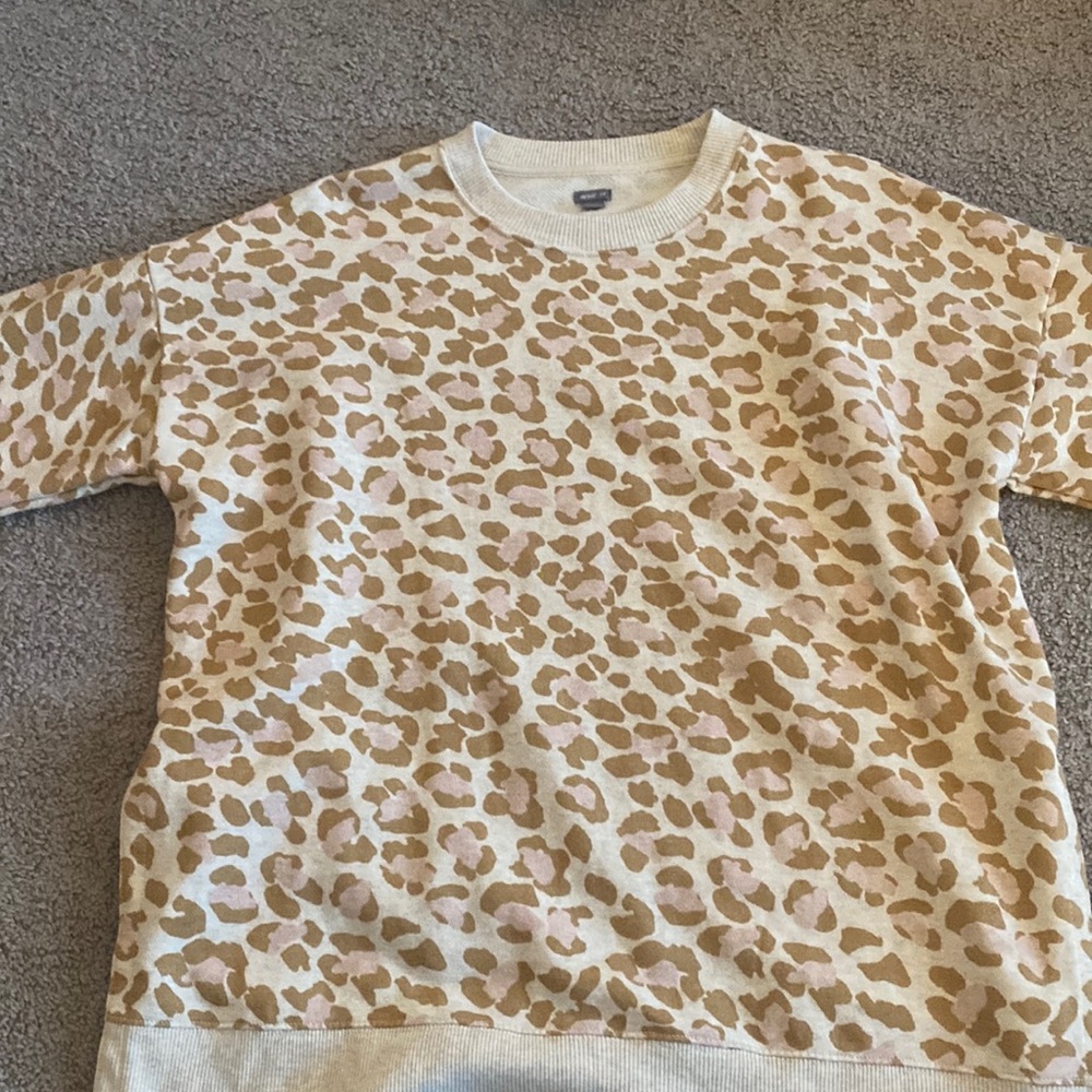 Aerie Sweatshirt